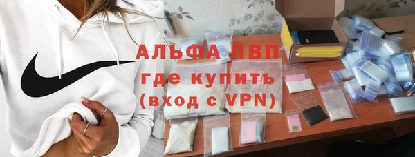 apvp Вяземский