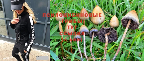 мескалин Горно-Алтайск