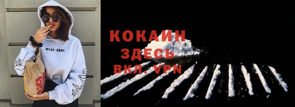 apvp Вяземский