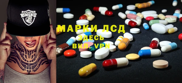 apvp Вяземский